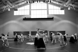 aikido